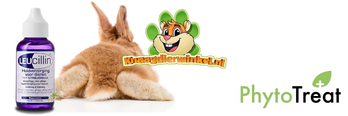 PhytoTreat Leucillin HOCL Skin Care Dropper 50 ml is een krachtige en effectieve spray voor het reinigen en spoelen van huid, oren en ogen van (knaag)dieren en konijnen.
