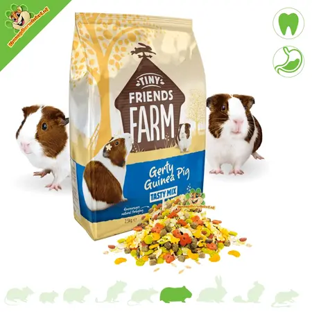 Supreme Gerty Cavia Tasty Mix Nourriture pour cochons d'Inde