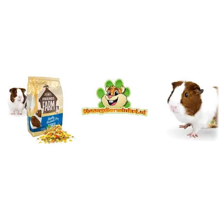 Supreme Gerty Cavia Smaczna mieszanka karmy dla świnek morskich