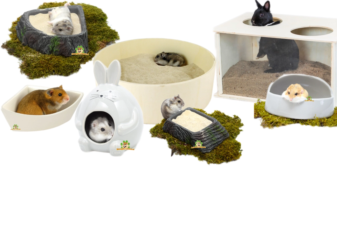 badzand voor knaagdieren gerbil chinchilla hamster zand