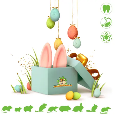 Knaagdierwinkel® Oster-Schnüffelbox Osterpaket