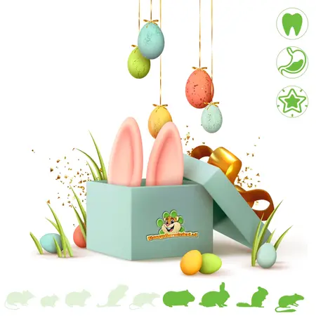 Knaagdierwinkel® Snuffelbox Pasen Paaspakket