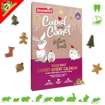 Veggie Christmas Advent Calendar