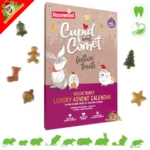 Veggie-Weihnachts-Adventskalender