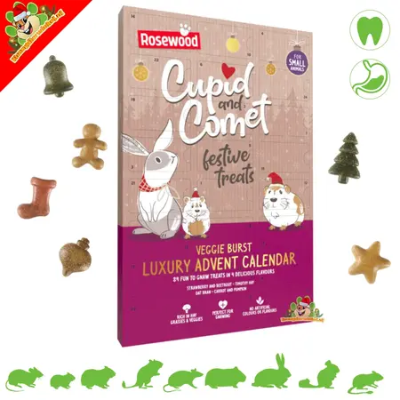 Rosewood Veggie Christmas Advent Calendar