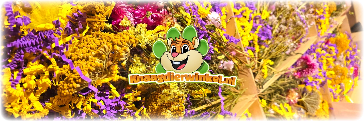 Osterpaket Nagetier Hase