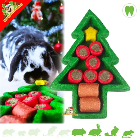 Rosewood Sapin de Noël à cueillir 17 cm