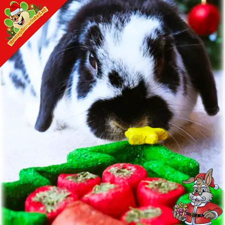 Rosewood Sapin de Noël à cueillir 17 cm