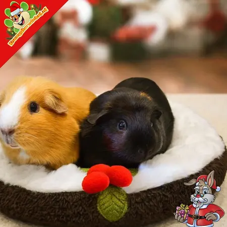 Rosewood Cama nido navideño de 37 cm