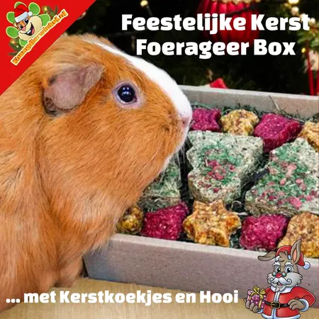 Rosewood Festliche Weihnachtsfutterkiste mit Weihnachtsgebäck und Heu