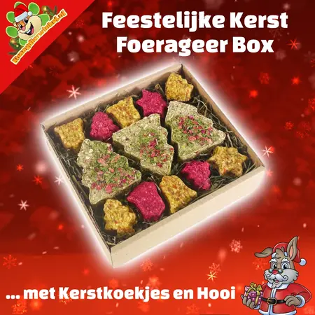 Rosewood Coffret de Noël festif avec biscuits de Noël et foin