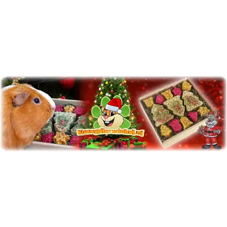 Rosewood Coffret de Noël festif avec biscuits de Noël et foin