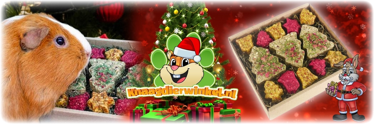 Świąteczna skrzynia na paszę Rosewood Fetive Christmas Forage Box z ciasteczkami świątecznymi i sianem