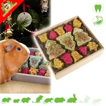 Festive Christmas Forage Box with Christmas Cookies and Hay