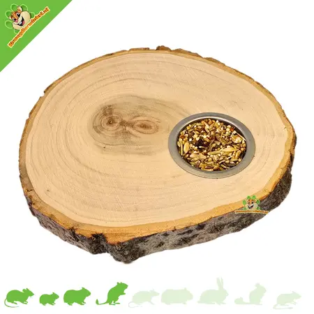Boomstamschijf met voerbakje 17 cm