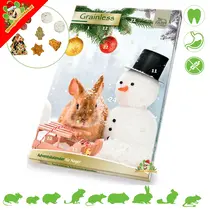 Grainless Christmas Advent Calendar