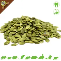 Shelled Pumpkin Seeds