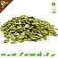 Knaagdier Kruidenier Shelled Pumpkin Seeds