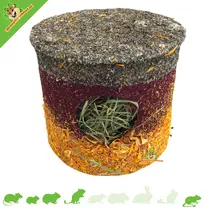 Colore Kräuterhaus 15 cm