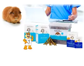 Spezialfutter und Zwangsernährung für Meerschweinchen