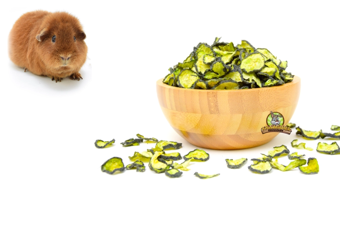 Cobaya con snacks de verduras deshidratadas, heno y hierbas.