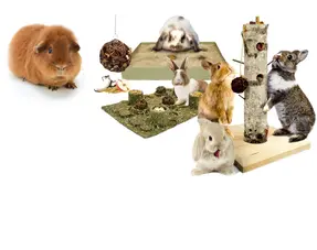 Juguetes activos y snacks para cobayas