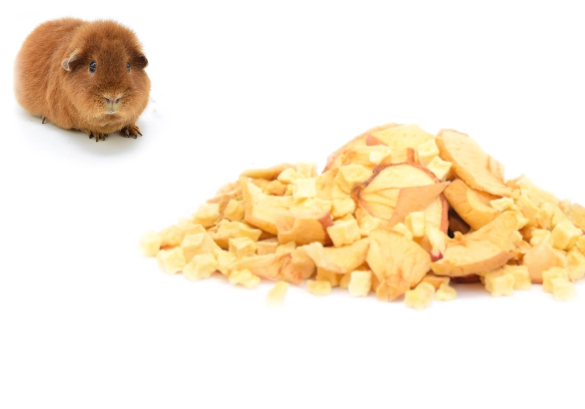 Cobaya con fruta seca, heno y hierbas