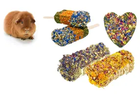 Friandises à base de plantes pour cobayes