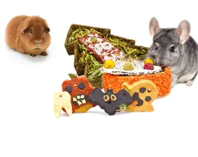 Snacks especiales para cobayas