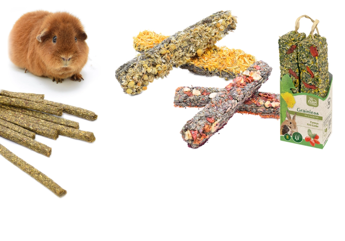 Cochon d'Inde – bâtonnets à grignoter en guise de récompense et de plaisir