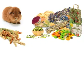 Snacks para conejillos de indias