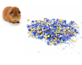 Fleurs séchées de cobaye