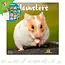 Hamster Kalender 2026