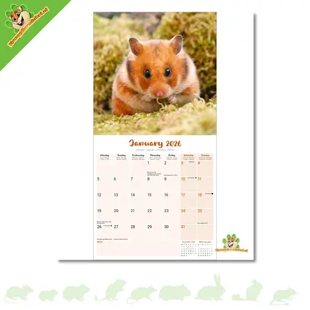 Calendrier des hamsters 2026