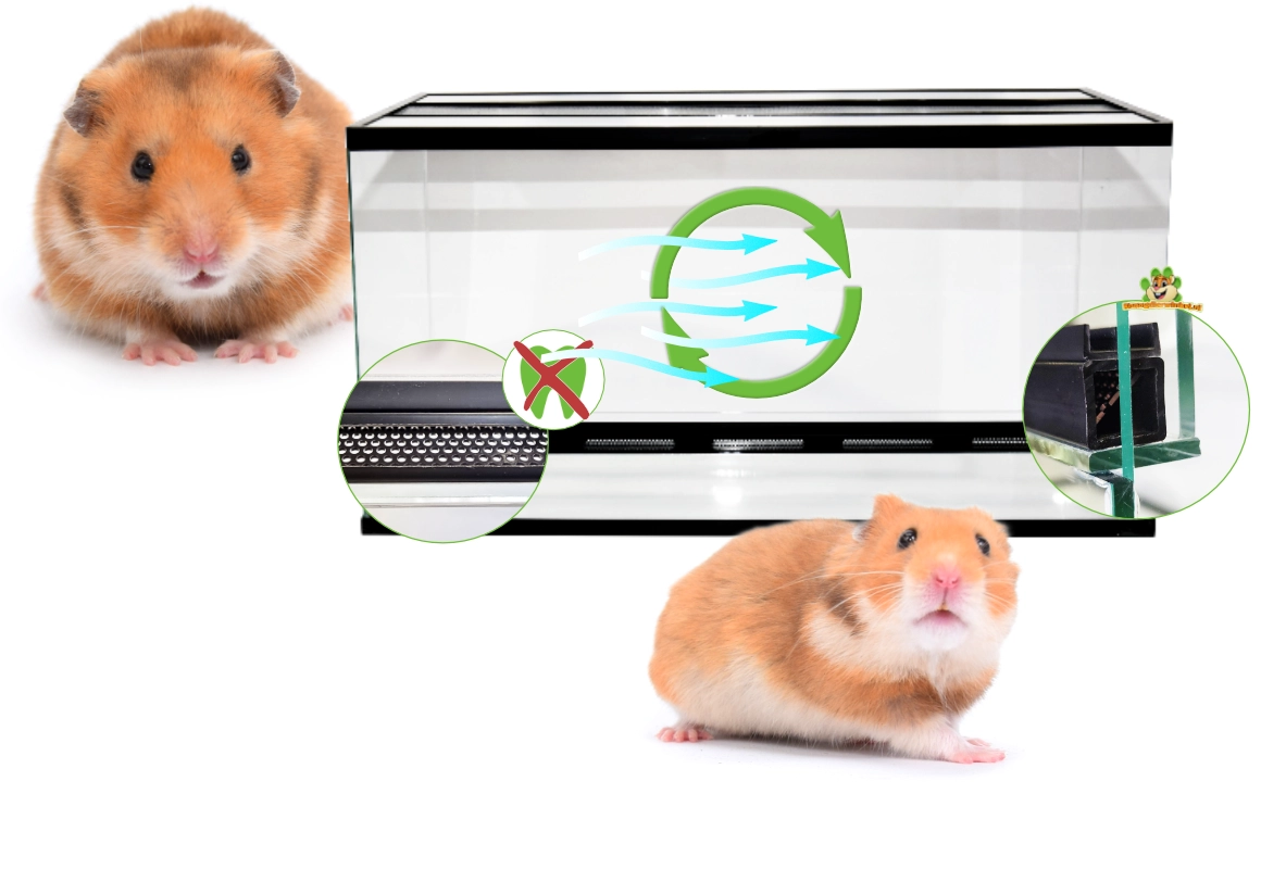 Glasterrarium für Hamster und Hamsterkäfige