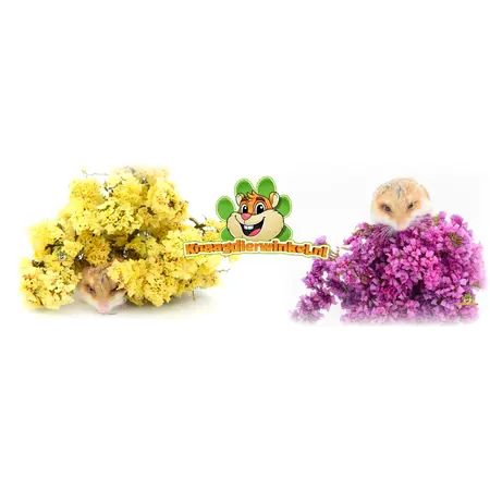 Knaagdier Kruidenier Dried Bendly Sea Lamb's Ear