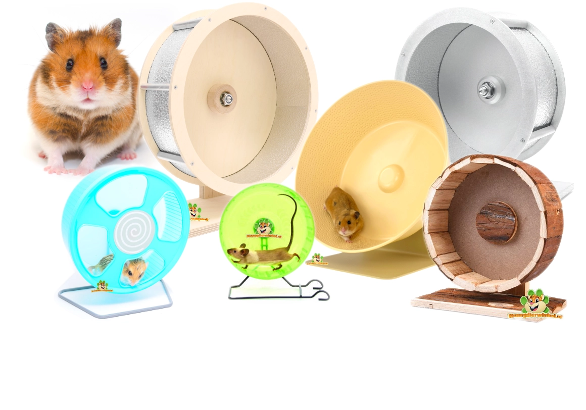 Loopradjes en loopwielen voor knaagdieren zoals muizen, dwerghamsters, hamsters, gerbils, chinchilla's en degoes