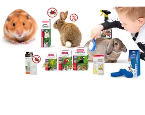 Gezondheid
