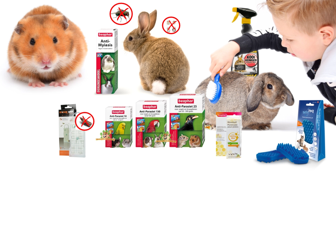 gezondheid knaagdier en konijn