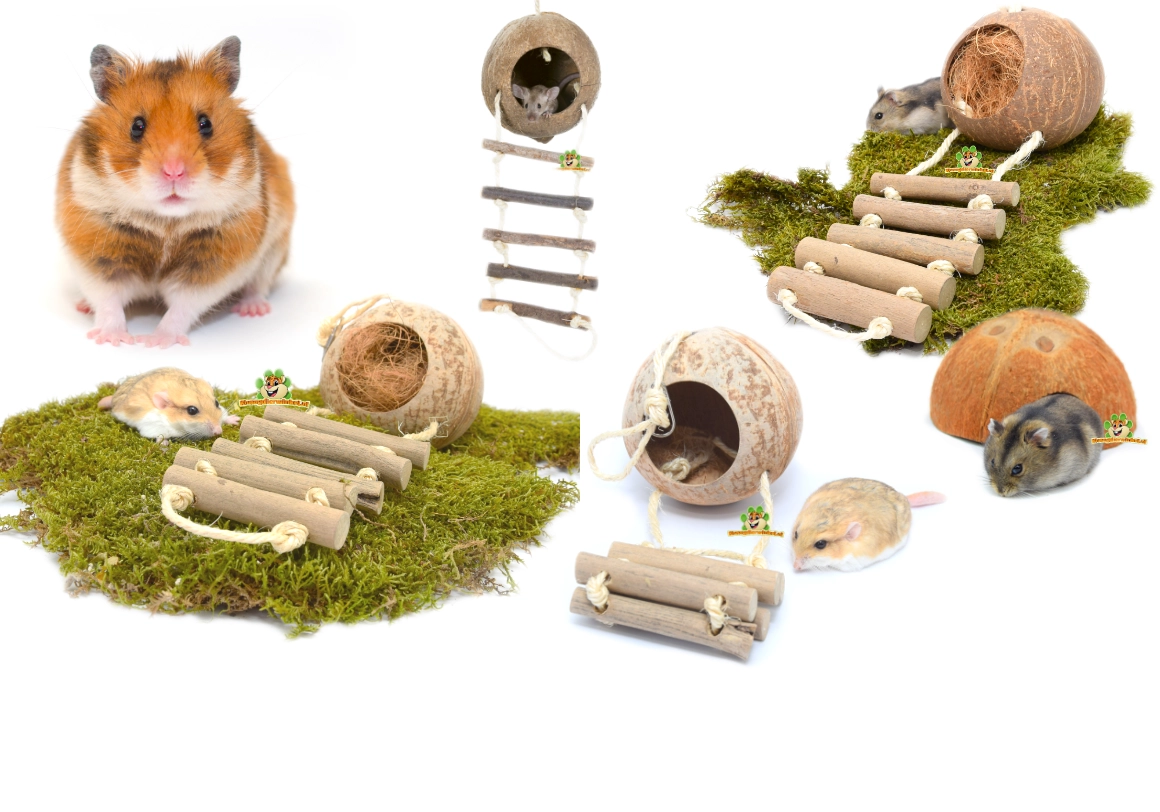 Casas de coco para roedores y hámsters de Rodent Shop