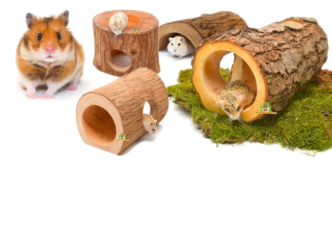 Knaagdierwinkel natuurlijke kooi en verblijf inrichting mahonie hout en elzenhou