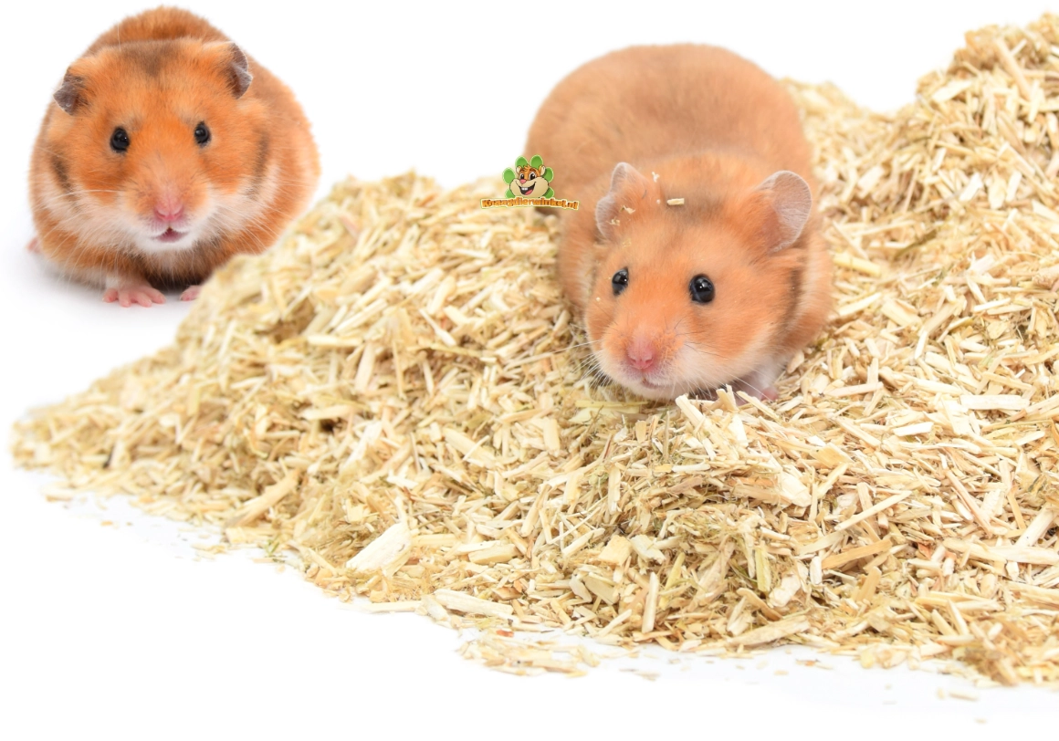 Une sélection de différents matériaux de litière pour hamster, notamment du coton, du papier, des fibres de bois et du chanvre, idéaux pour créer un environnement de vie confortable et propice au creusement.