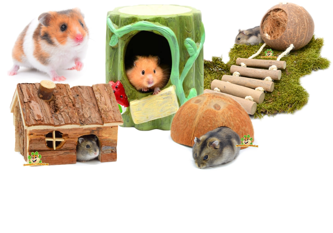 Hamsterhaus für Hamster