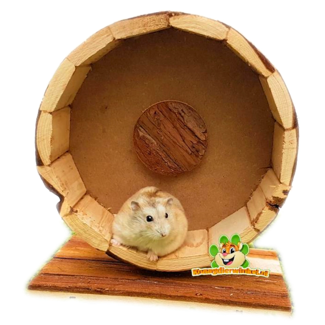 hamster en dwerghamster looprad