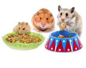Gamelle pour hamster