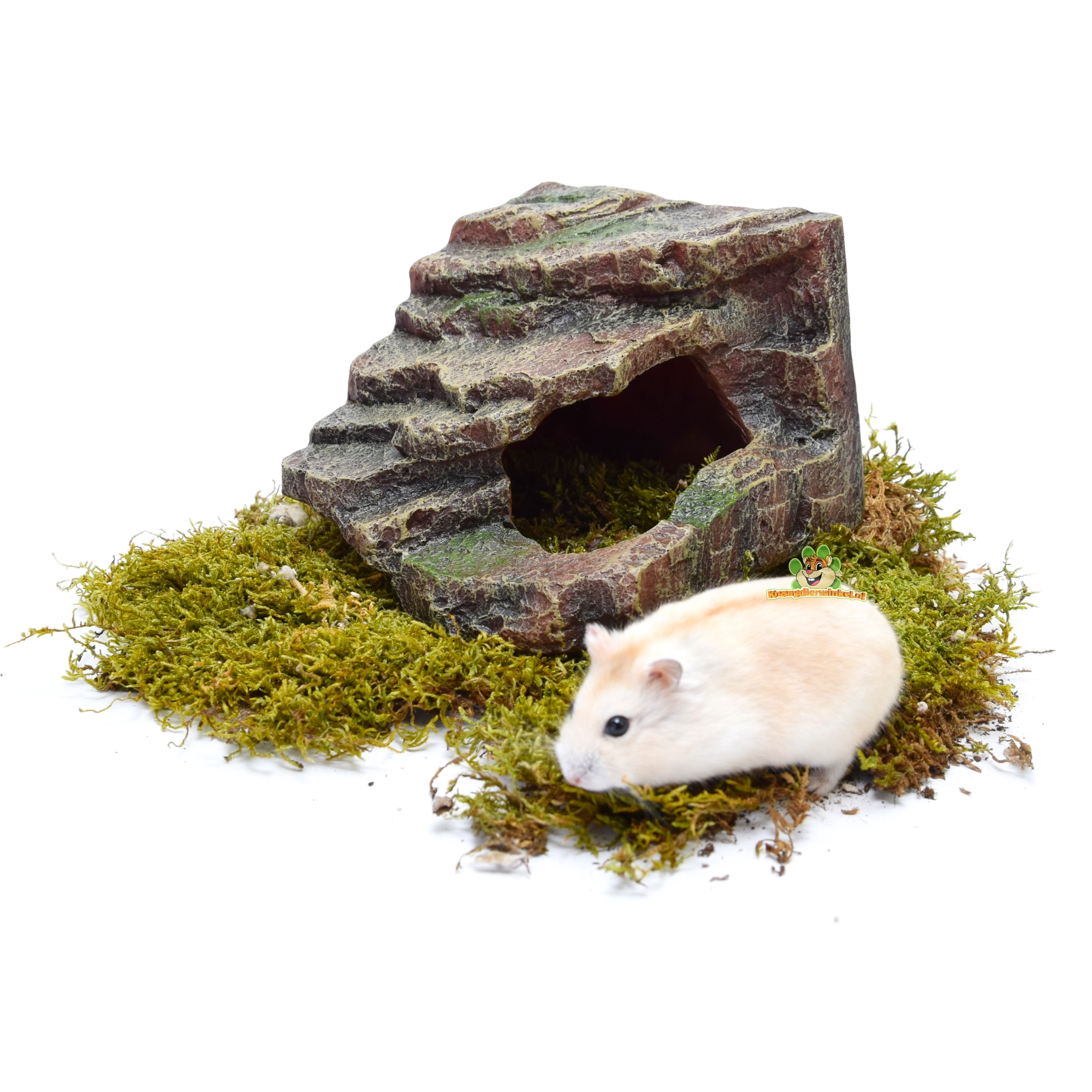 Hamsterhaus für Hamster und Zwerghamster in Naturoptik zur Hamstergestaltung