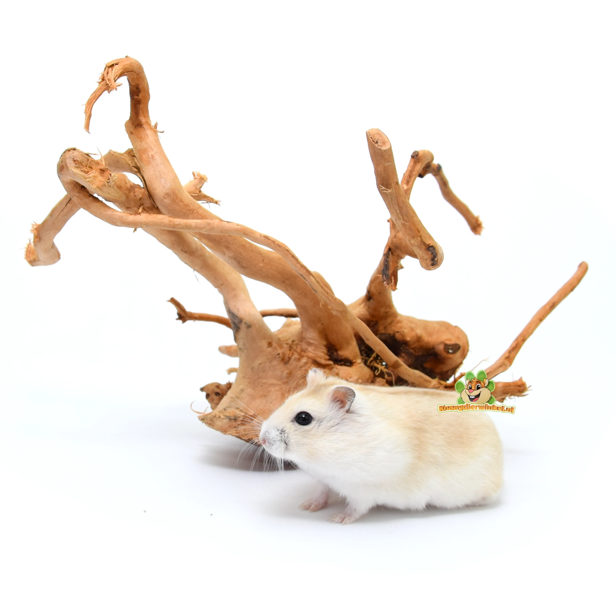 hamsterscaping inrichting hamster dwerghamster