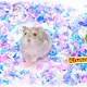 PetsPick Über Paper Bedding Bodembedekking Confetti 36 Liter