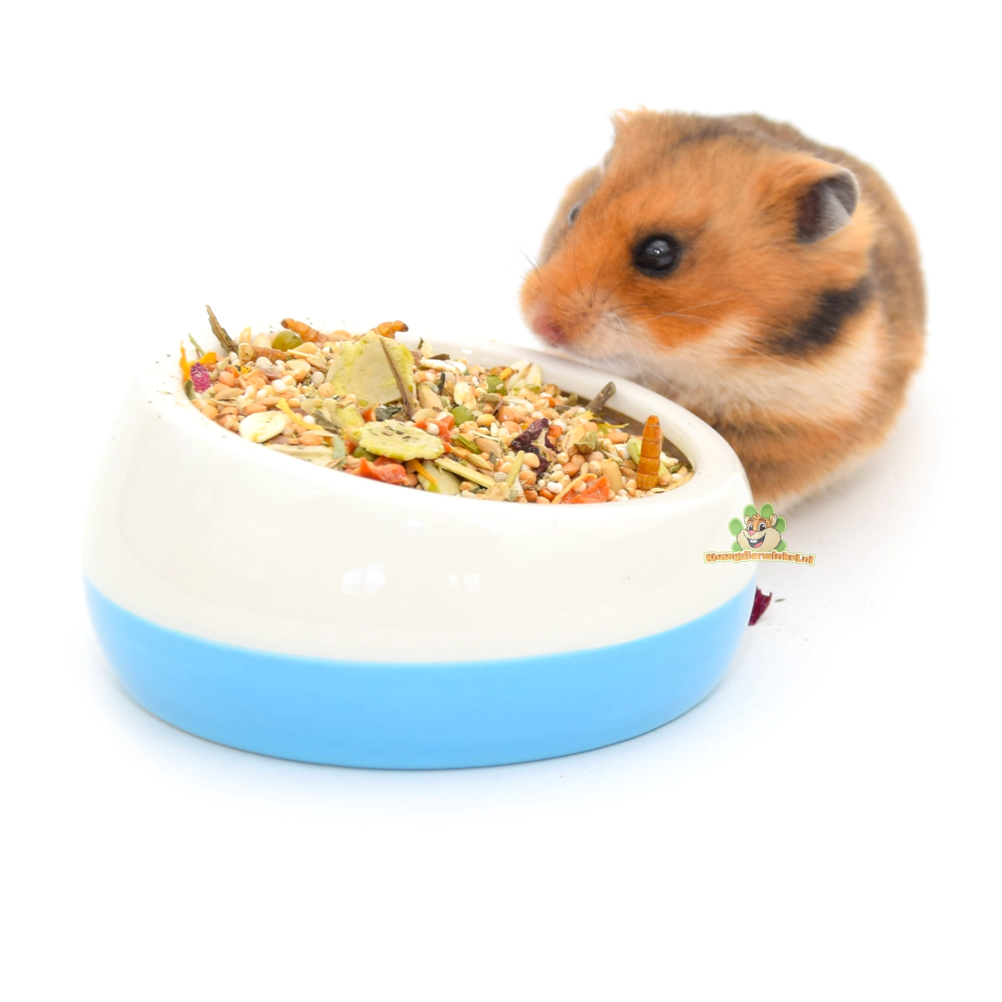 Hamster mit Futternapf