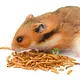 Knaagdierwinkel® Gedroogde Meelwormen voor kleine knaagdieren